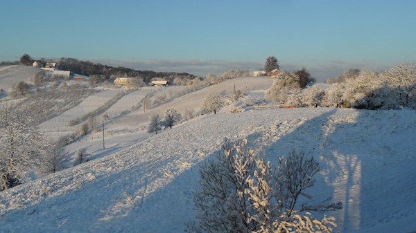 Winter-Unterlamm_1567©pail