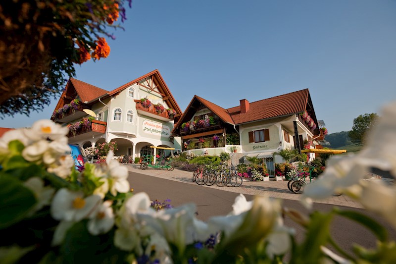 Auskunftspflicht Casino Auskunftspflicht Casino